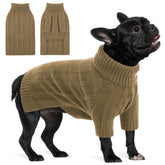 Queenmore dog sweater model wearing medium size for cozy indoor and outdoor warmth.