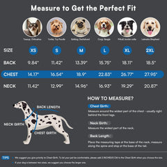 Queenmore blue dog sweater sleeveless cut enables easy wear and unrestricted movement.