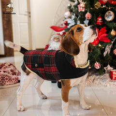 Queenmore dog winter coat back view highlights leash attachment and secure fit
