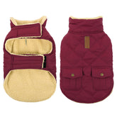Queenmore dog winter coat front view demonstrates warm, windproof protection for cold walks.