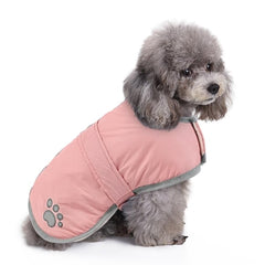 Queenmore dog winter coat front view showing warm coverage for cold weather walks