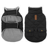 Queenmore dog winter coat front view showing warm quilted exterior for chilly walks.