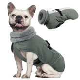 Queenmore dog winter jacket waterproof fabric keeps your pup dry during walks.