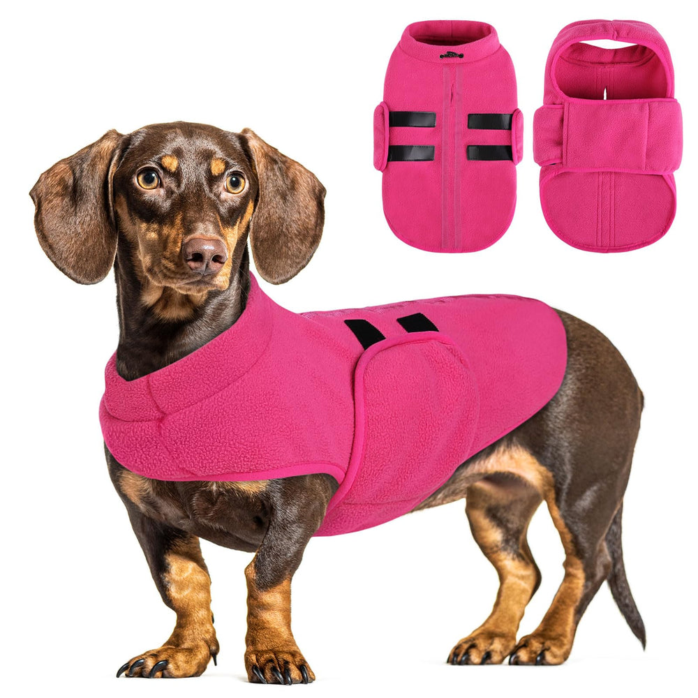 Queenmore medium dog sweater front view shows snug warmth for chilly walks