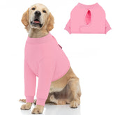 Queenmore Recovery Sleeve for Dogs front leg pink demonstrates post-surgery protection
