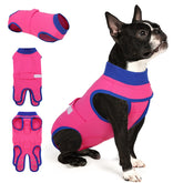 Queenmore Recovery Suit provides full-body wrap for dogs, protecting wounds while keeping movement easy.