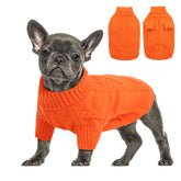 Queenmore small dog pullover sweater orange turtleneck close-up showing cozy warmth