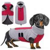Queenmore small-dog-sweater leash-hole back-view for easy walks and warm comfort.