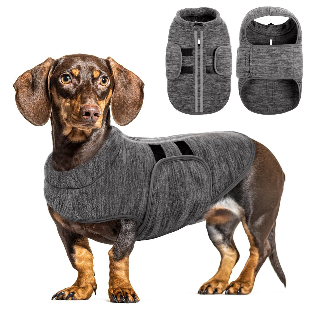 Queenmore small dog sweater pullover shows easy-on wear for warm winter walks.