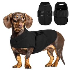 Queenmore small dog warm jacket front view shows cozy protection for winter walks