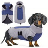 Queenmore sudadera para perro medio, vista frontal, cómodo y cálido para paseos.