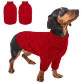 Queenmore suéter para perro pequeño, vista frontal, ideal para calidez diaria.