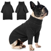 Queenmore turtleneck knit sweater on a dog front view, cozy warmth for winter walks.