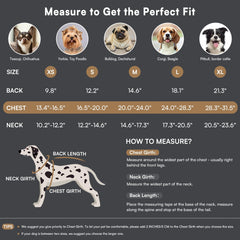 Queenmore warm dog coat collar down plush lining in red emphasizes luxurious interior