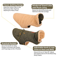 Queenmore warm dog coat green leash hole design keeps your dog close during walks.