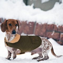 Queenmore warm dog coat side-worn demonstrating comfortable fit and windproof quilting