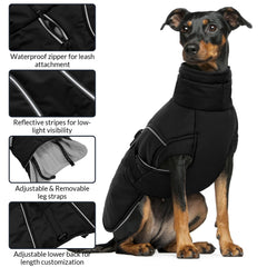 Queenmore leash-hole design allows harness use during outdoor play.