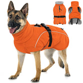 Queenmore winter dog coat waterproof shell keeps dogs dry during snowy outdoor adventures.