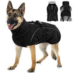 Queenmore winter coat worn by a dog, showcasing waterproof warmth for cold walks.