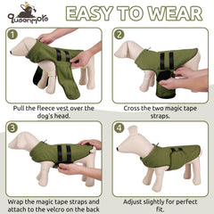 Queenmore winter outerwear on a dachshund demonstrates pull-on convenience.