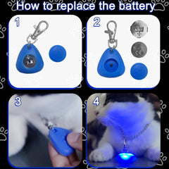 QUELIEN LED dog collar light worn on a dog during dark walk for safety.