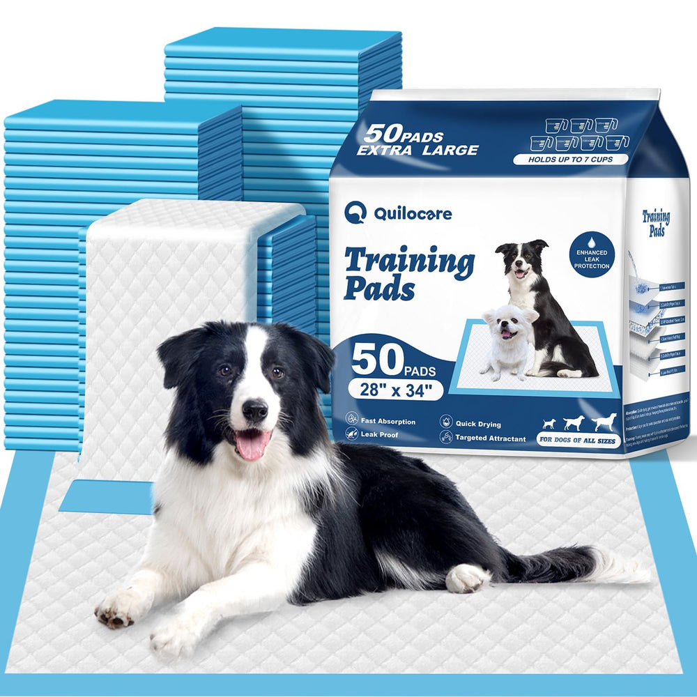 Q Quilocare bulk 50-count pee pads 28x34 keep training sessions efficient and mess-free.