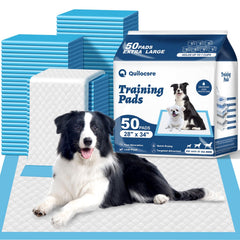 Q Quilocare bulk 50-count pee pads 28x34 keep training sessions efficient and mess-free.