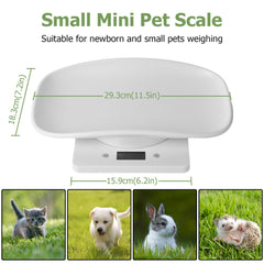 Qulable digital kitten weight scale compact and accurate for tiny measurements.