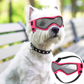 QUMY dog goggles with UV protection for sunny outdoor adventures.