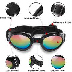 QUMY dog sunglasses worn on a dog to illustrate secure fit and comfort.