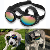 QUMY dog sunglasses package shows brand-ready eye protection.