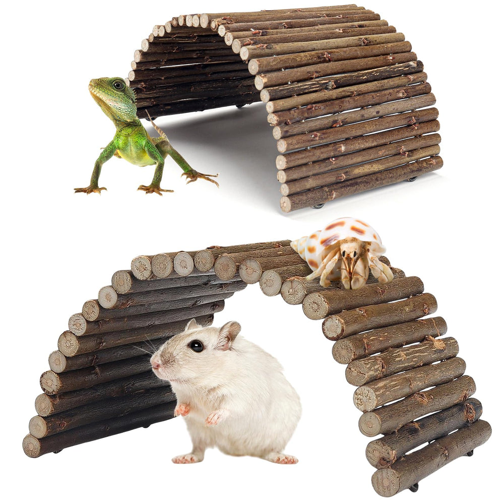 QUOZUO apple wood bendable bridge for hermit crabs enabling enrichment and climbing.