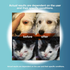Close-up of QUQU Natural Pet Eye Drops targeting a pet eye to reduce irritation