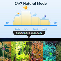 Qwakay aquarium light full spectrum 78 LEDs deliver natural illumination