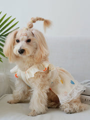 QWINEE pet dress yellow fabric close-up emphasizing soft, breathable material.