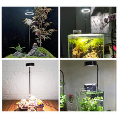 QWLWBU LED lamp suited for aquarium, terrarium, or desk plant displays.
