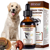QwsYaay turkey tail dogs bottle supports immunity and overall wellness.