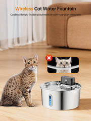 Qzkragt Stainless Steel Cat Water Fountain closeup highlighting durable material.