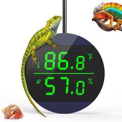 QZQ Reptile thermometer with blue LED display shows habitat temperature and humidity at a glance.