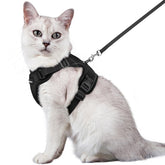 Rabbitgoo cat harness back D-ring provides secure leash control during outdoor walks.