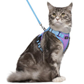 Rabbitgoo cat harness back D-ring for secure leash attachment during outdoor walks.
