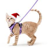 Rabbitgoo cat harness back D-ring provides reliable control during walks
