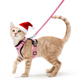 Rabbitgoo cat harness in breathable pink vest for comfortable outdoor walks.