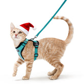 Rabbitgoo cat harness back-D-ring to secure outdoor adventures.