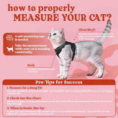 rabbitgoo cat harness four-strap-adjustment demonstrates adjustable fit for comfort.