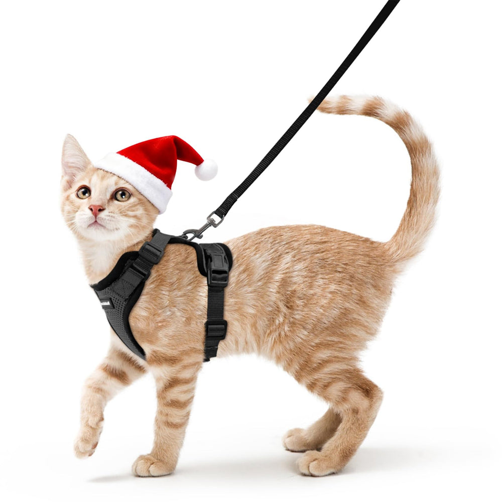 rabbitgoo cat harness overhead-fit shows quick, secure on-off for walks.