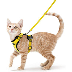 Rabbitgoo cat harness overhead fit demonstrates secure, comfortable escape-proof design for walks.