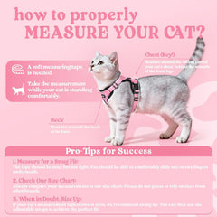 Rabbitgoo cat harness pink back D-ring highlights secure leash attachment for confident control