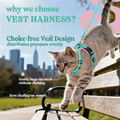 Rabbitgoo cat harness reflective strips boost day and night visibility.