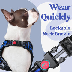 Rabbitgoo adjustable-fit harness shows four straps for growth.